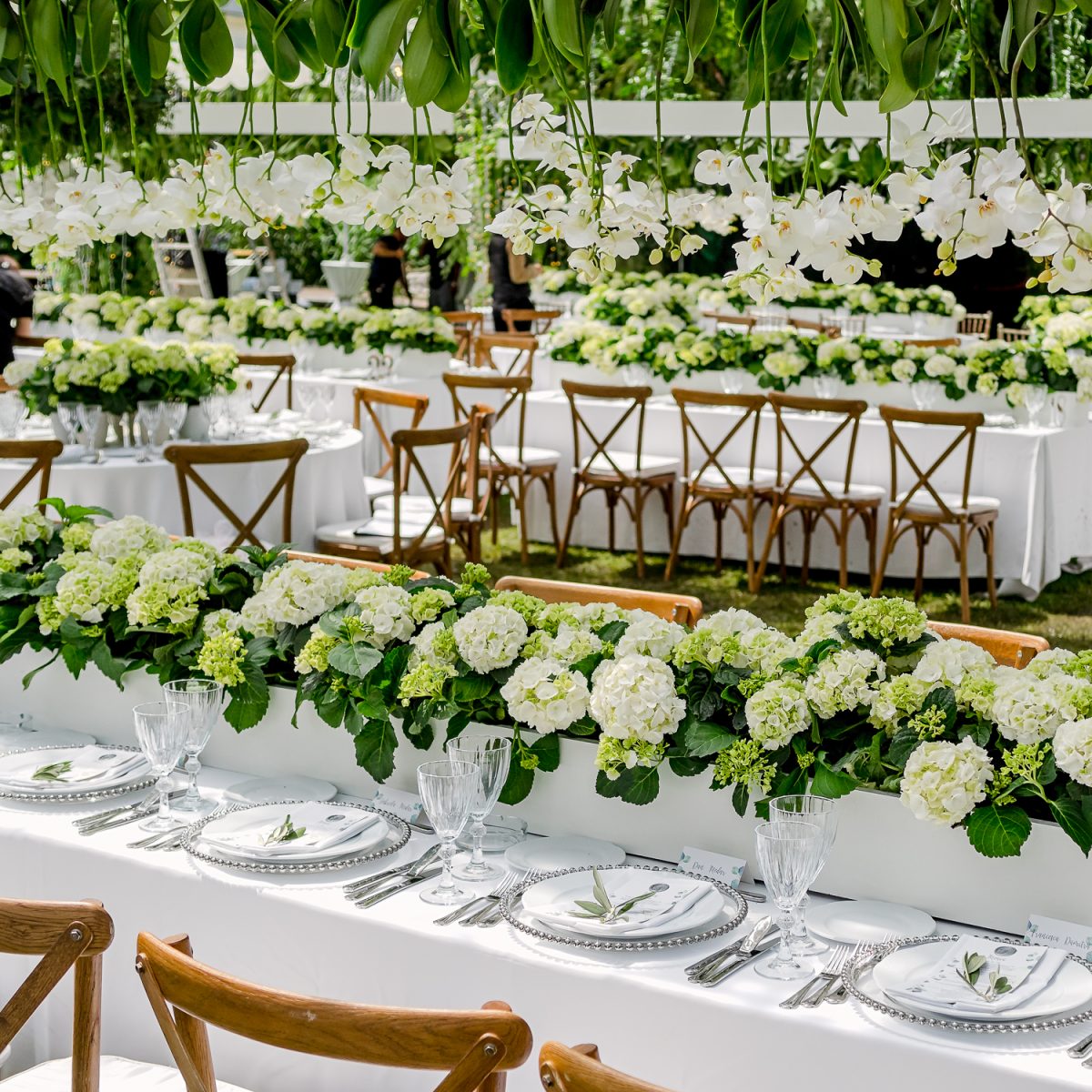 decor floral locatie nunta dadoo