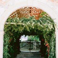 maison dadoo nunta banffy castel ceusan alina flori rosii